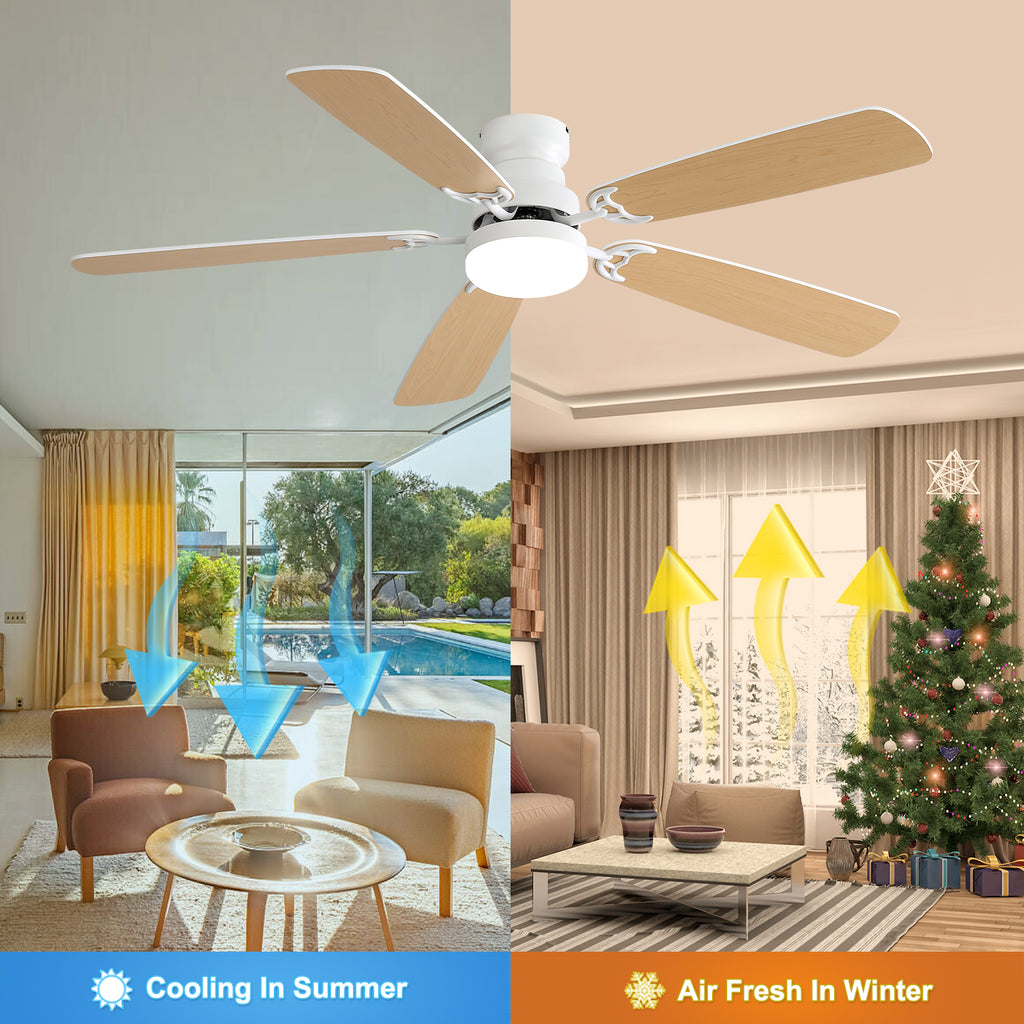 Illustration highlighting reversible DC motor inside the fan housing