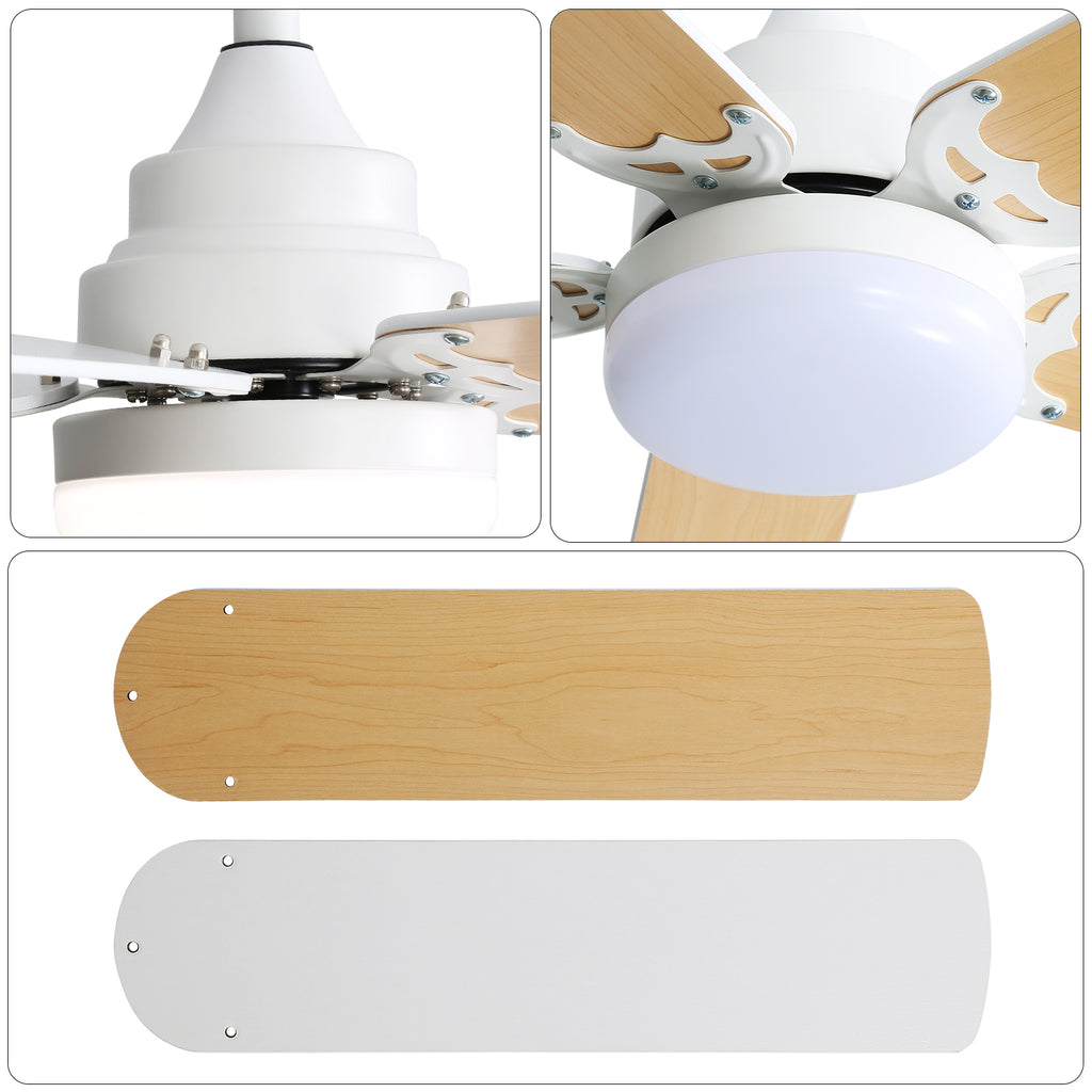 Diagram showing flush mount, angled mount, and standard downrod installation options