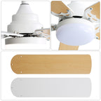 Diagram showing flush mount, angled mount, and standard downrod installation options