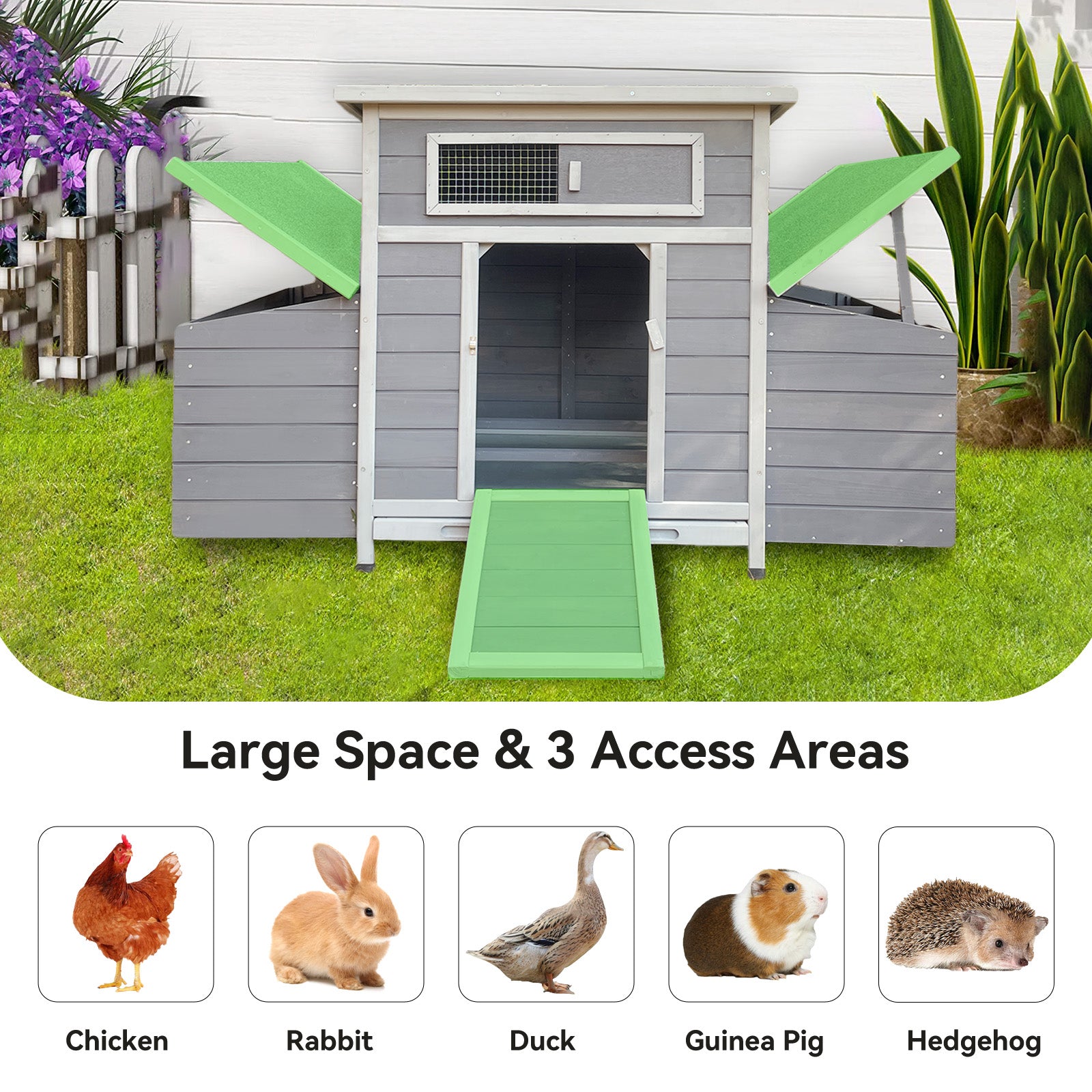 Large Wooden Chicken Coop with Dual Nesting Boxes & Ventilation - product detail image 6