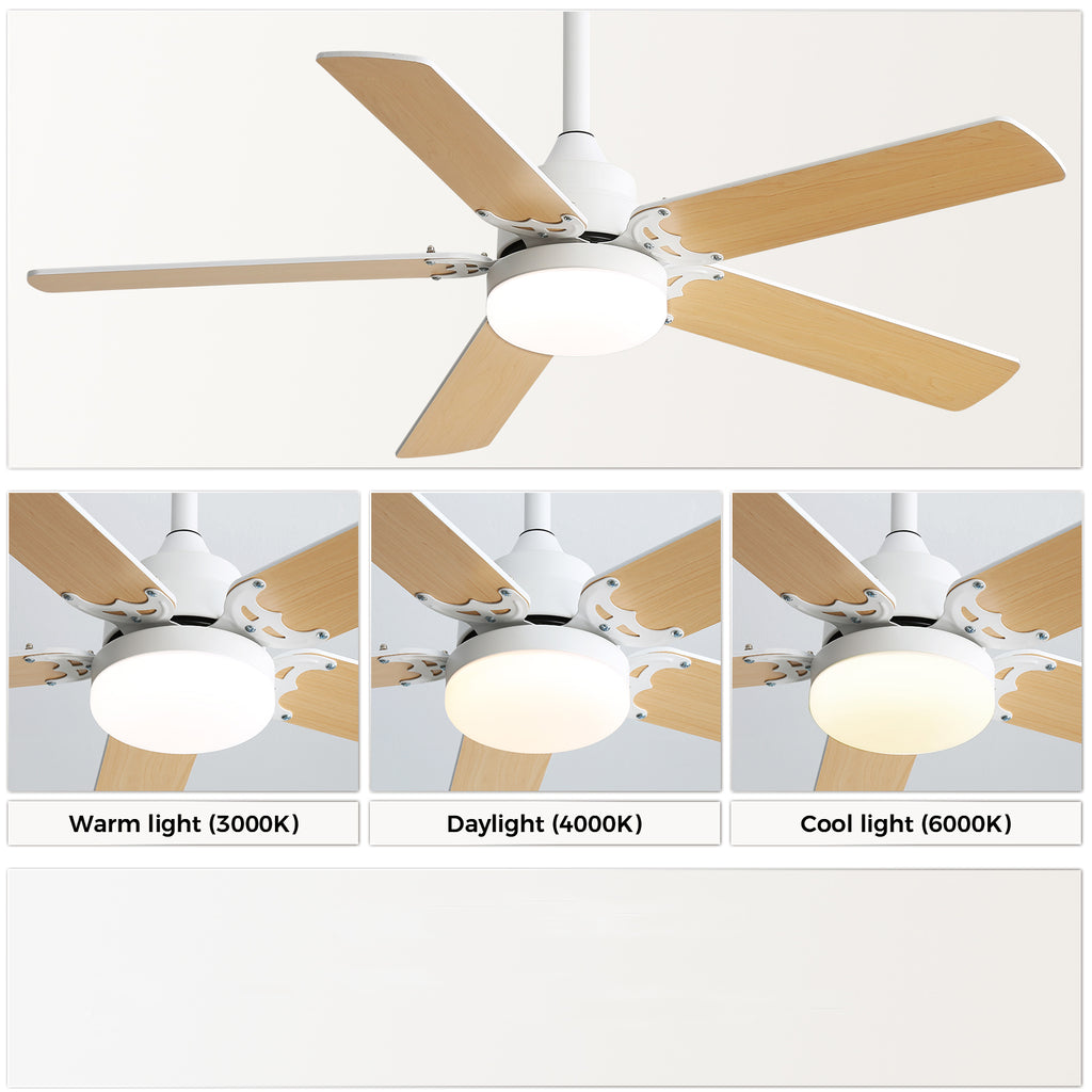 Close-up showing LED light emitting warm, natural, and cool white light