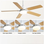 Close-up showing LED light emitting warm, natural, and cool white light
