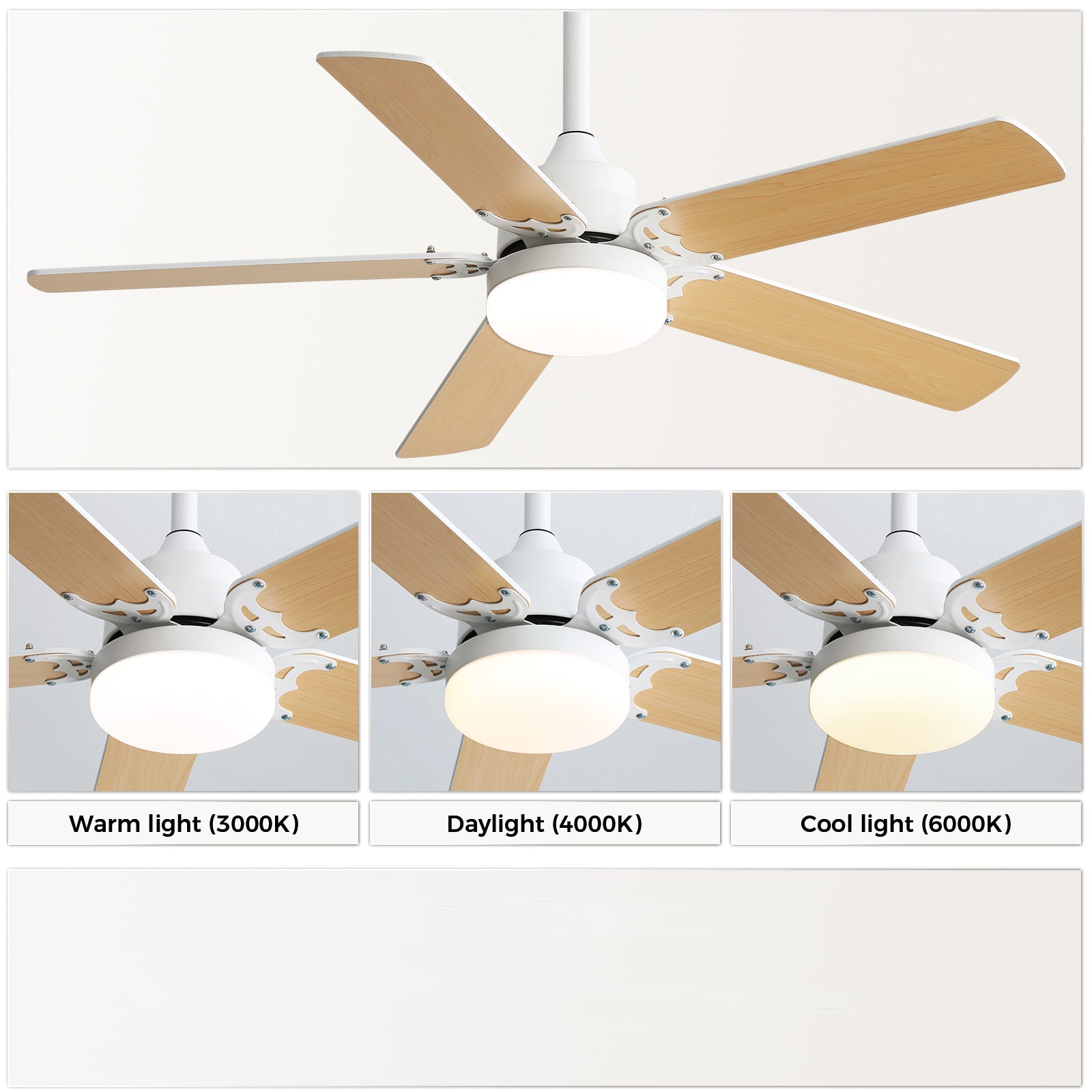 Close-up showing LED light emitting warm, natural, and cool white light