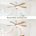 52 Inch Modern Ceiling Fan with Dimmable 3-CCT LED Light, Reversible DC Motor & Remote