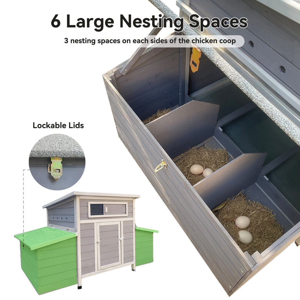 Interior view showing nesting area with six egg nests inside dual side boxes
