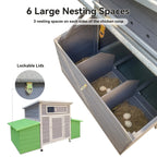 Interior view showing nesting area with six egg nests inside dual side boxes